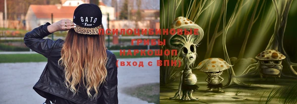 a pvp Алексин