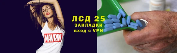 прущие грибы Абаза
