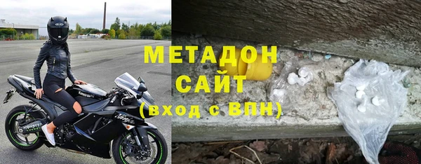 прущие грибы Абаза
