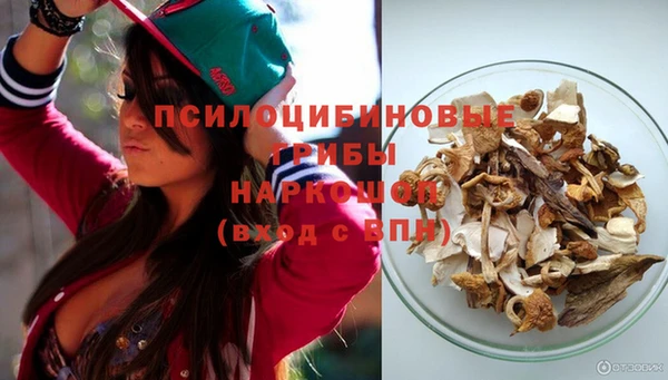 a pvp Алексин