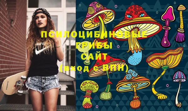 бутират Алзамай