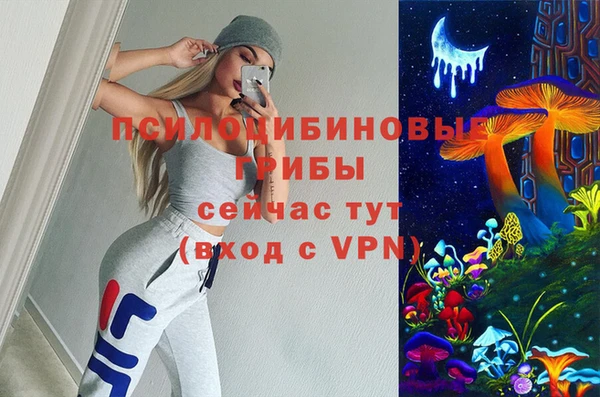a pvp Алексин