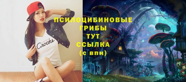 a pvp Алексин