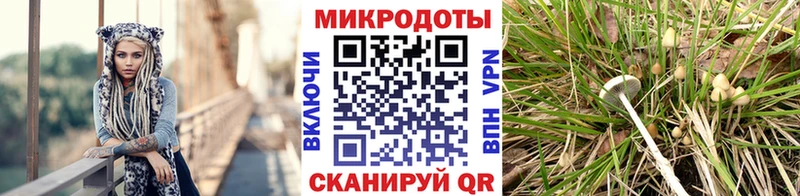 Галлюциногенные грибы GOLDEN TEACHER  цена   Волоколамск 