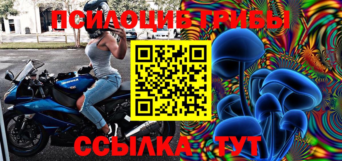 Волоколамск  Псилоцибиновые грибы Cubensis  Псилоцибиновые грибы мицелий  Вход с VPN 